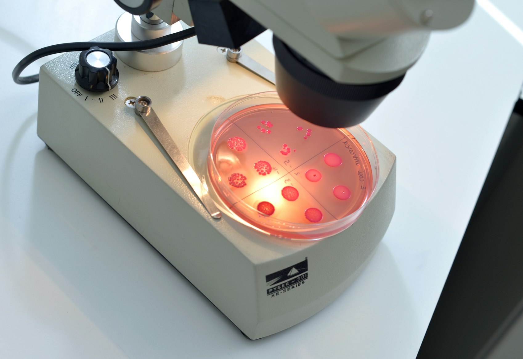 Effective, efficient, and environmentally-responsible technologies developed by Genesis Biosciences